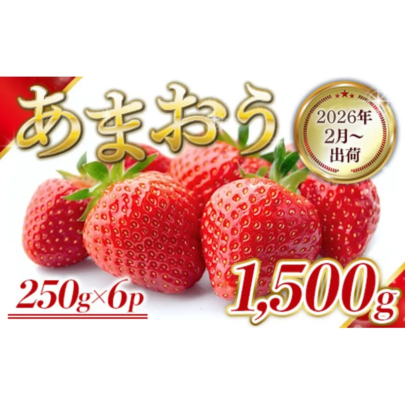 いちご 福岡県産 あまおう 1500g (250g×6パック) 先行予約 2026年2月より順次発送 果物 デザート ※配送不可：離島 