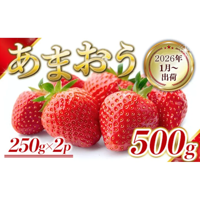 いちご 福岡県産 あまおう 500g (250g×2パック) 先行予約 2026年1月より順次発送 果物 デザート ※配送不可：離島 