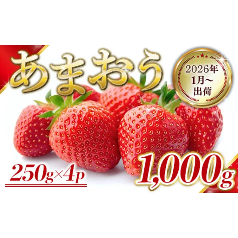 いちご 福岡県産 あまおう 1000g (250g×4パック) 先行予約 2026年1月より順次発送 果物 デザート ※配送不可：離島 