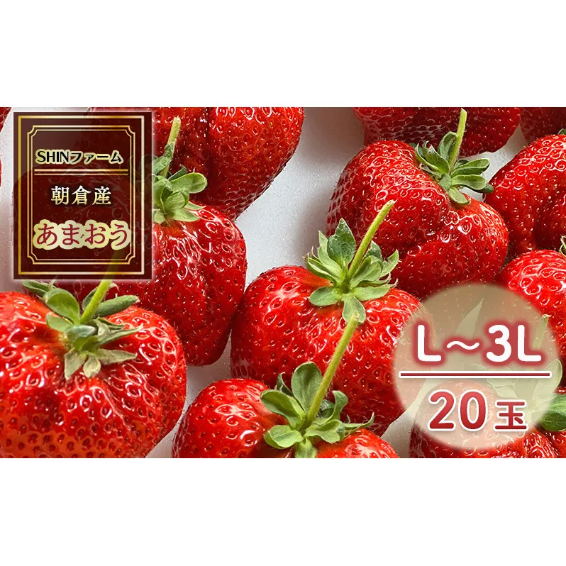 いちご 朝倉市産 あまおう L～3L 20玉 イチゴ 苺 果物 デザート ＜SHINファーム＞ ※配送不可：離島