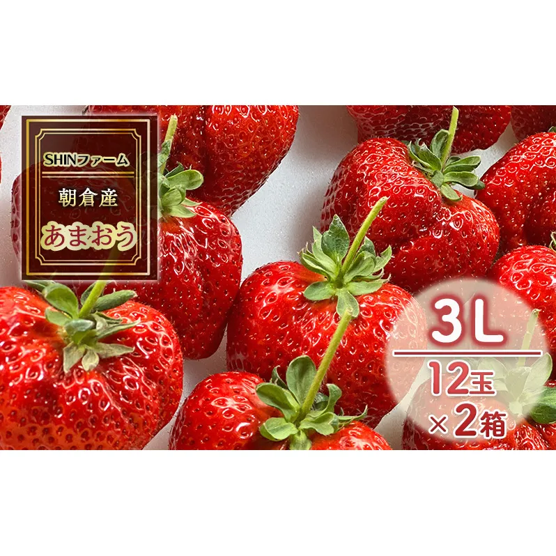 いちご 朝倉市産 あまおう 3L 12玉×2箱 イチゴ 苺 果物 デザート ＜SHINファーム＞ ※配送不可：離島