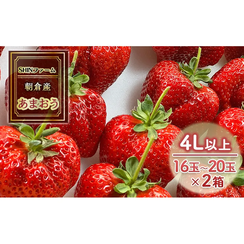 いちご 朝倉市産 あまおう 4L以上 16玉～20玉×2箱 イチゴ 苺 果物 デザート ＜SHINファーム＞ ※配送不可：離島