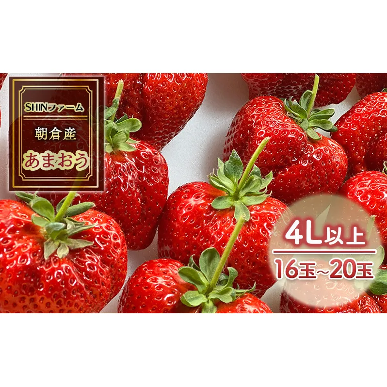 いちご 朝倉市産 あまおう 4L以上 16玉～20玉 イチゴ 苺 果物 デザート ＜SHINファーム＞ ※配送不可：離島