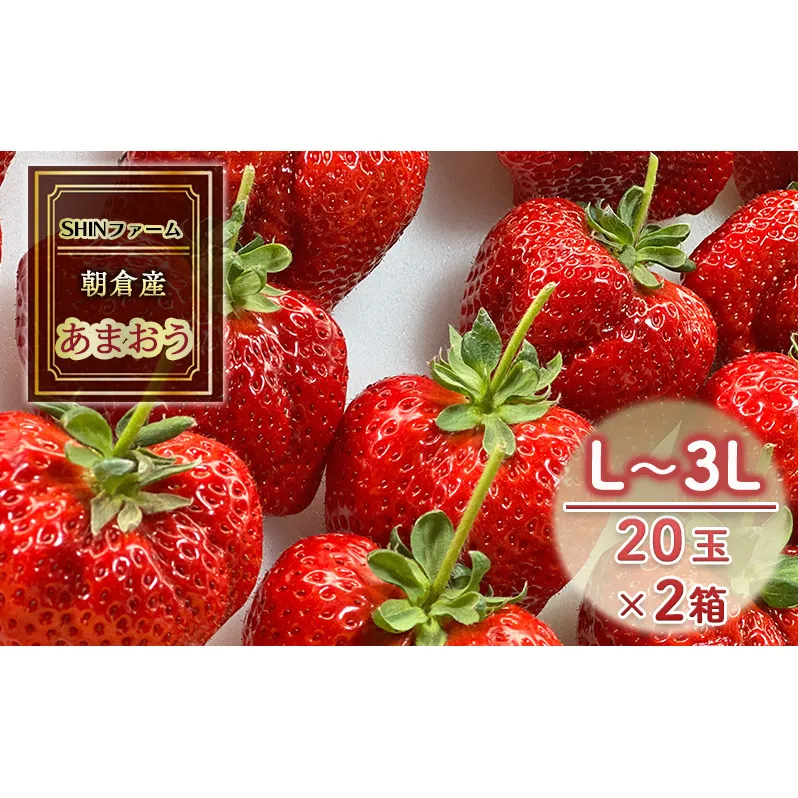 いちご 朝倉市産 あまおう L～3L 20玉×2箱 イチゴ 苺 果物 デザート ＜SHINファーム＞ ※配送不可：離島