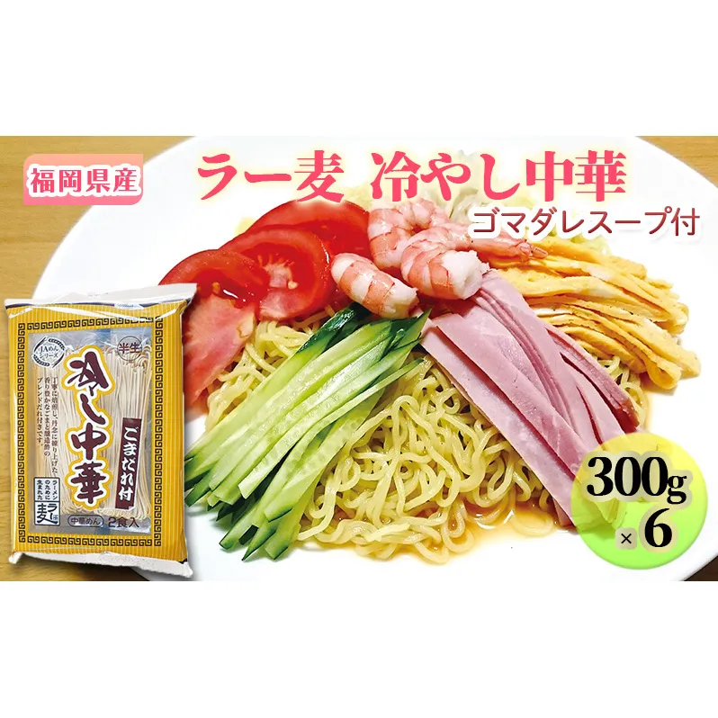 冷やし中華 福岡県産 ラー麦 1ケース ゴマダレスープ付 麺 