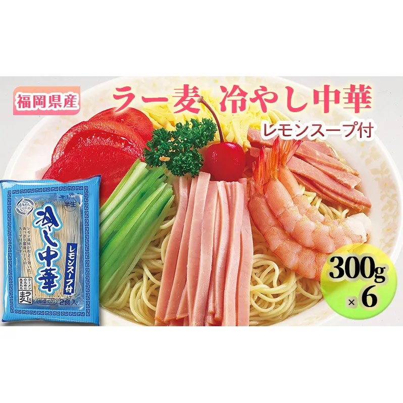 冷やし中華 福岡県産 ラー麦 1ケース レモンスープ付 麺 