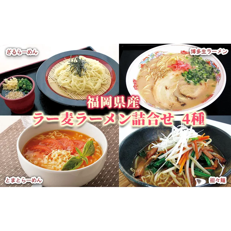 ラーメン 福岡県産 ラー麦 ラーメン詰合せ 4種 セット ( 博多生ラーメン  担々麺 ざるらーめん とまとらーめん ) 麺 詰め合わせ 