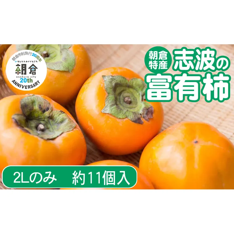 【朝倉市制施行20周年記念企画】 柿 志波の富有柿 2Lサイズのみ×約11個入 ゆう美果樹園 ※配送不可：離島