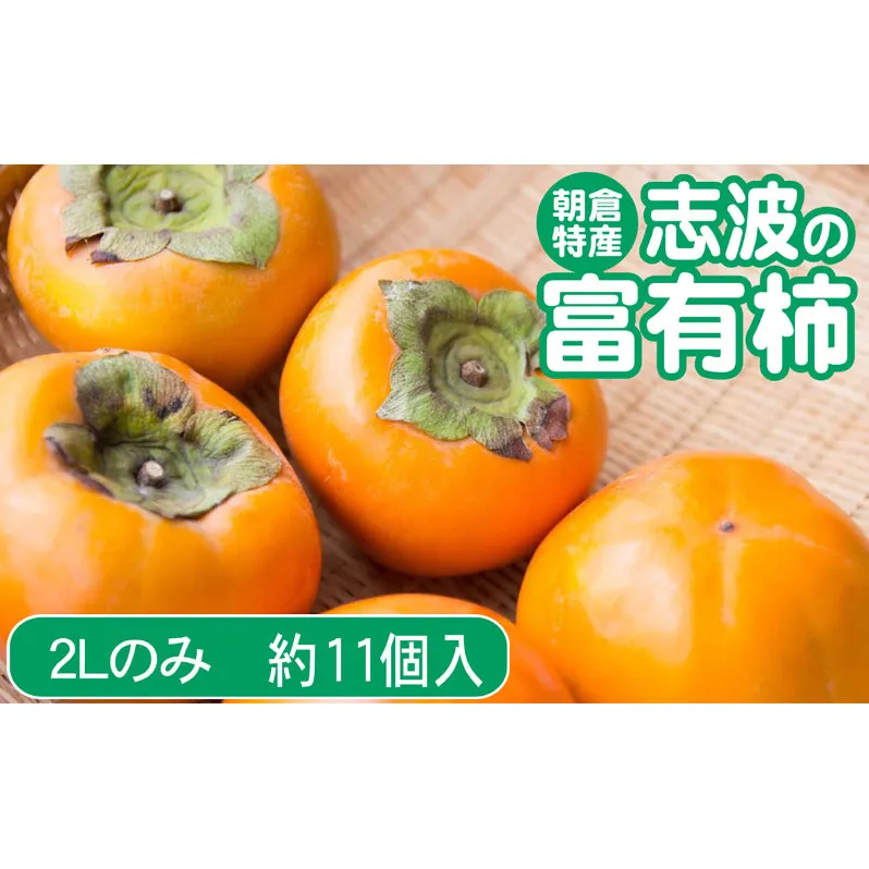 柿 志波の富有柿 2Lサイズのみ×約11個入 ゆう美果樹園 ※配送不可：離島