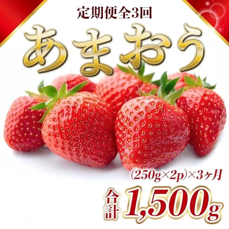 定期便 3ヶ月 福岡県産 あまおう 合計1500g 先行予約 2027年1月より順次発送 いちご イチゴ 苺 果物 3回 ※配送不可：離島