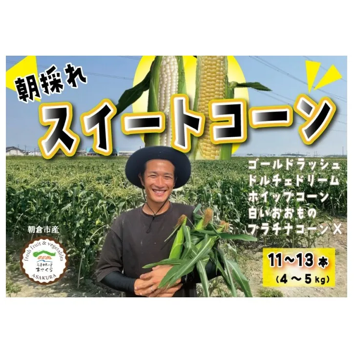 とうもろこし 朝倉市産 スイートコーン 朝採り！約4～5kg ※配送不可：離島、北海道、東北、沖縄