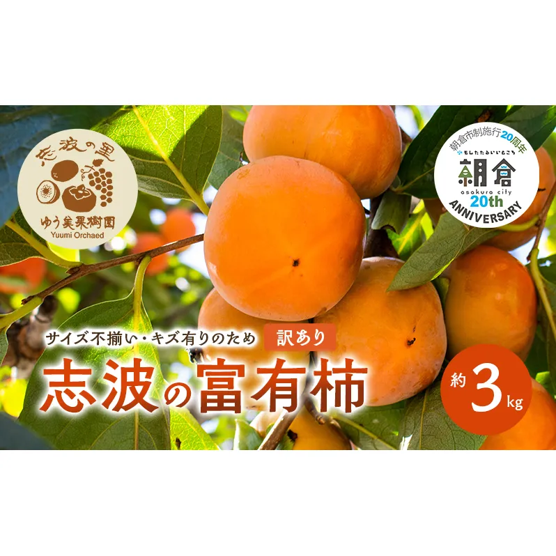 【朝倉市制施行20周年記念企画】  訳あり 志波の富有柿 約3kg 柿 ※配送不可：離島