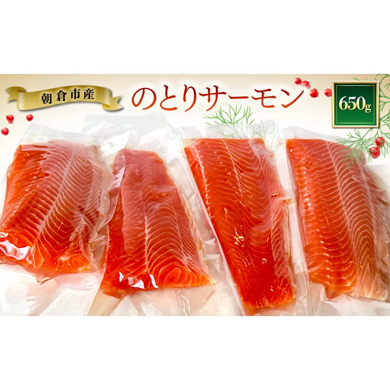 サーモン 朝倉市産 のとりサーモン 650g 魚 冷凍 ※配送不可:離島