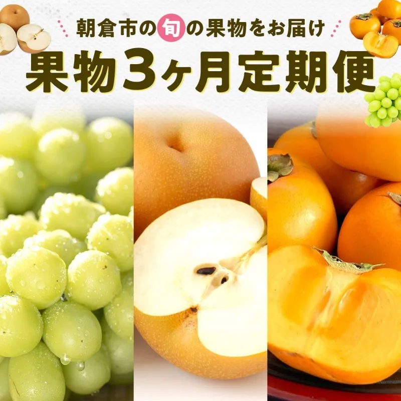 果物 3ヶ月 定期便 先行予約 2026年8月より順次発送 (シャインマスカット、梨、柿) フルーツ 3回 ※配送不可：離島