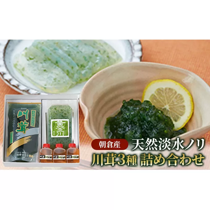 のり 海苔 珍味 川茸の詰め合わせ 遠藤金川堂 淡水海苔 天然 高級天然淡水ノリ 加工食品 調味料