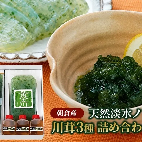 のり 海苔 珍味 川茸の詰め合わせ 遠藤金川堂 淡水海苔 天然 高級天然淡水ノリ 加工食品 調味料