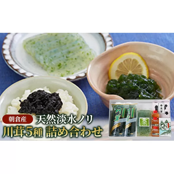 のり 海苔 珍味 川茸の詰め合わせ 5種 遠藤金川堂 淡水海苔 天然 高級天然淡水ノリ 加工食品 