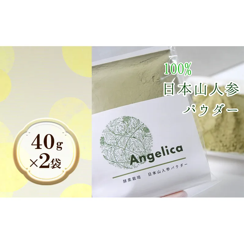 ★希少★日本山人参（葉と茎の粉末） 2袋 飲料類 お茶 野菜/人参 