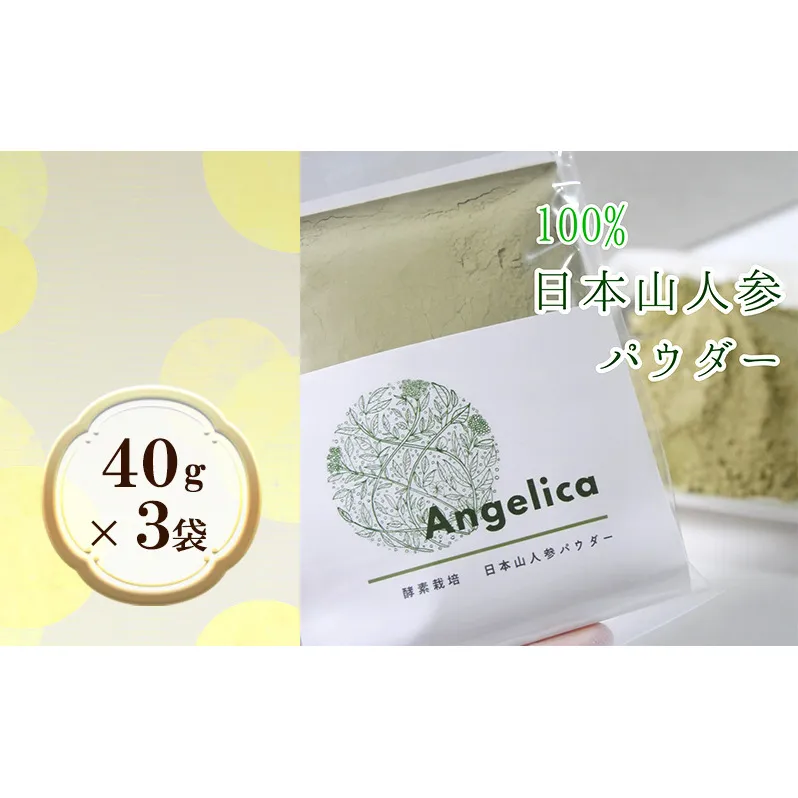 ★希少★日本山人参パウダー40g×3袋 飲料類 お茶 野菜/人参 