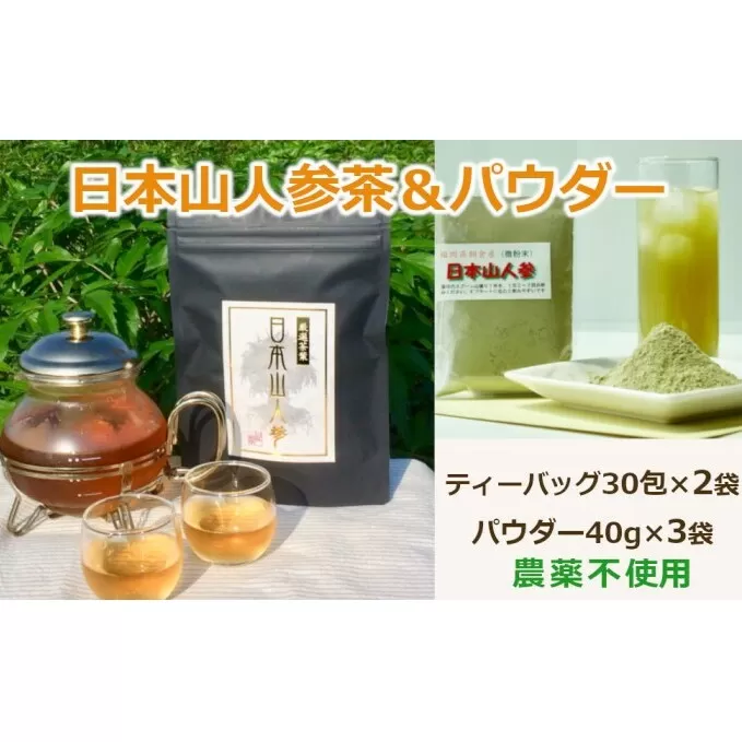 ★希少★日本山人参茶＆パウダーで健康に！ティーバッグ30包×2袋 パウダー40g×3袋 農薬不使用 飲料類 お茶 野菜 抹茶 ヨーグルト ハーブの力 化学肥料不使用 