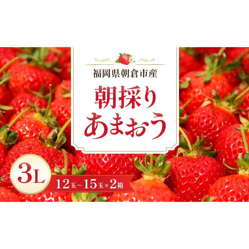 いちご 朝倉市産 あまおう 3L 12～15玉×2箱 イチゴ 苺 果物 デザート ※配送不可：離島