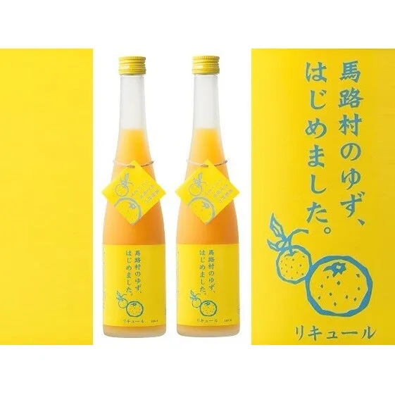 ゆず梅酒　500ml×2本　＜篠崎＞ お酒 洋酒 リキュール類