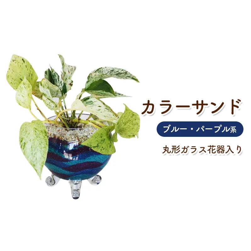 カラーサンド ガラス花器:丸 ブルー パープル系 インテリア 植物