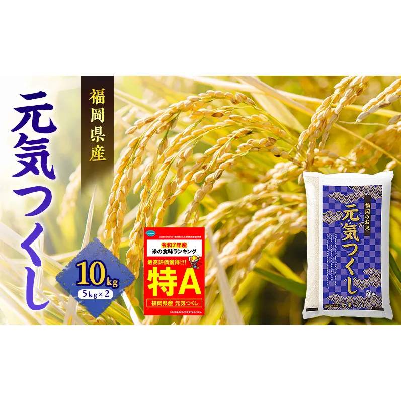 米 元気つくし 10kg