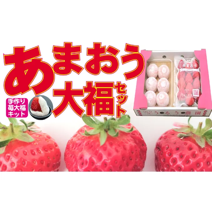 いちご 2027年2月下旬より発送 うるう農園のあまおう大福キット（あまおう1パック＋大福6個セット）※配送不可：離島 果物 和菓子 生菓子 苺大福 フルーツ 和スイーツ 特別栽培 福岡県産 おやつ