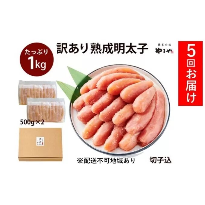 定期便 5回 訳あり 明太子 大容量 やまや切子 冷凍1kg（500g×2）配送不可 離島 魚貝類 
