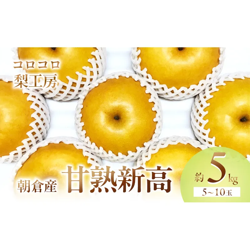 梨 新高梨 甘熟 味に自信あり！！約5kg 5～10玉入 配送不可 離島 ナシ 果物 フルーツ 先行予約