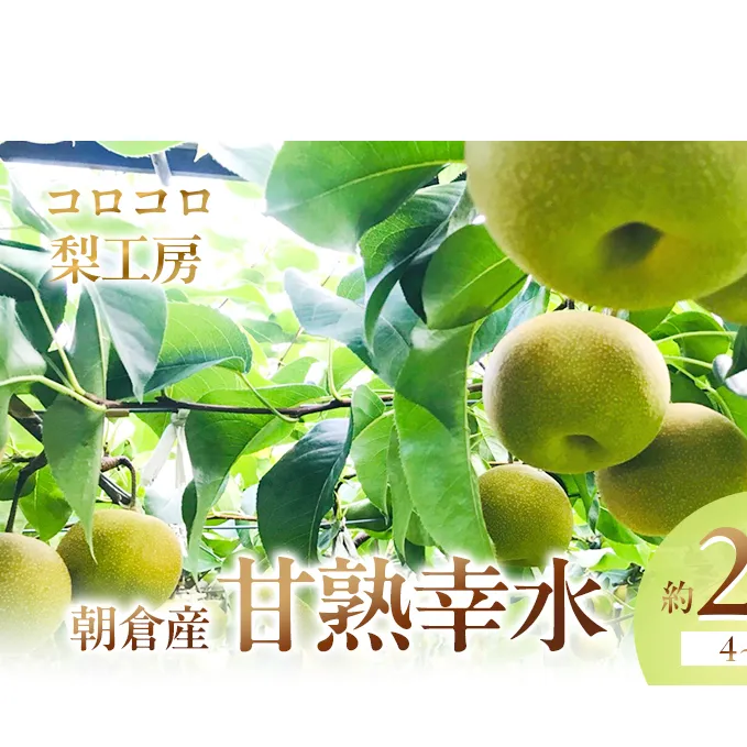 梨 幸水 まるで食べる梨ジュース！！甘熟 幸水梨 約2.1kg 4～7玉入 配送不可 離島 ナシ 果物 フルーツ 先行予約 