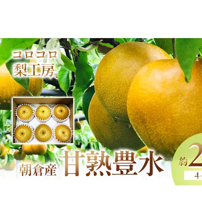 梨 豊水 まるで食べる梨ジュース！！ 甘熟 豊水梨 約2.1kg 4～7玉入 配送不可 離島 ナシ 果物 フルーツ 先行予約 