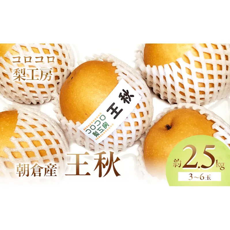 梨 王秋梨 まるで食べる梨ジュース！！約2.5kg 3～6玉入 ナシ 果物 フルーツ 先行予約
