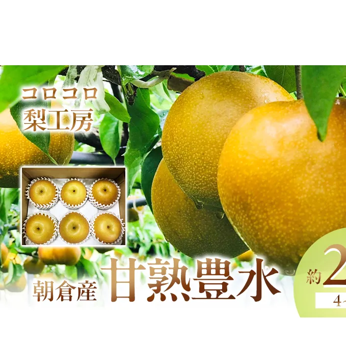 梨 豊水 まるで食べる梨ジュース！！ 甘熟 豊水梨 約2.5kg 4～7玉入 配送不可 離島 ナシ 果物 フルーツ 先行予約 