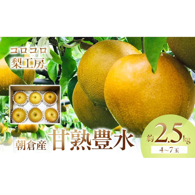 梨 豊水 まるで食べる梨ジュース！！ 甘熟 豊水梨 約2.5kg 4～7玉入 配送不可 離島 ナシ 果物 フルーツ 先行予約