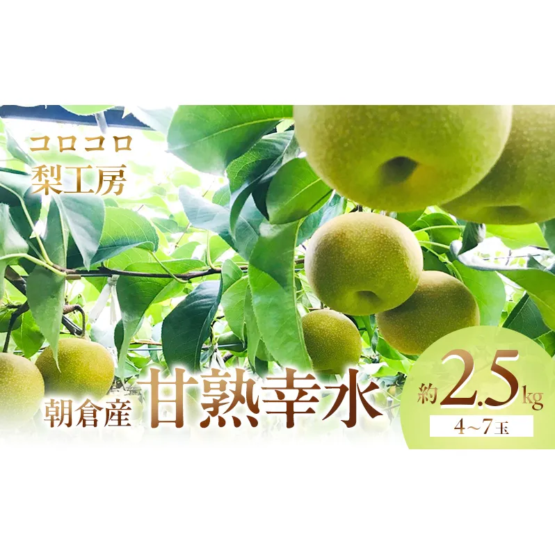 梨 幸水 まるで食べる梨ジュース！！甘熟 幸水梨 約2.5kg 4～7玉入 配送不可 離島 ナシ 果物 フルーツ 先行予約