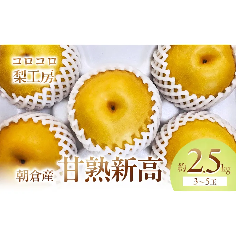 梨 新高梨 甘熟 味に自信あり！！約2.5kg 3～5玉入 配送不可 離島 ナシ 果物 フルーツ 先行予約