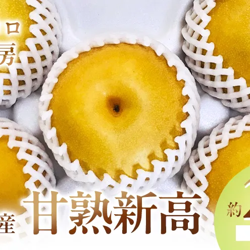 梨 新高梨 甘熟 味に自信あり！！約2.5kg 3～5玉入 配送不可 離島 ナシ 果物 フルーツ 先行予約 