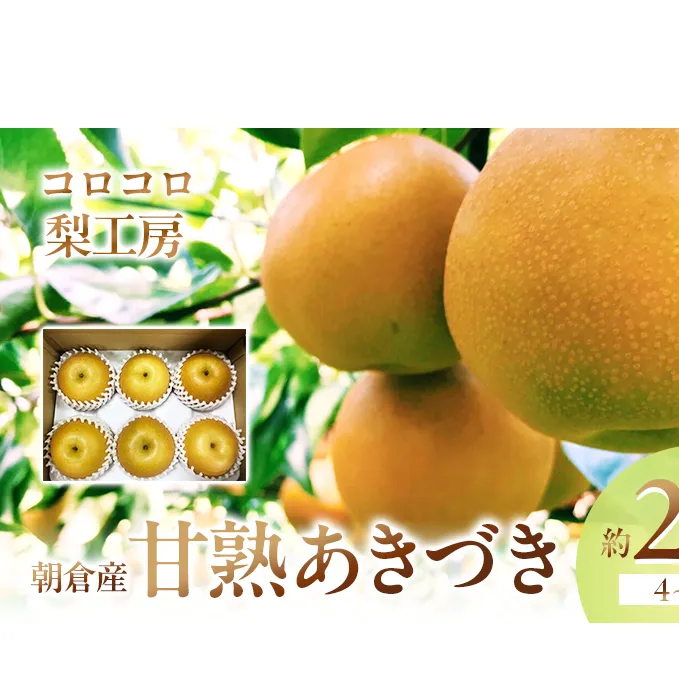 梨 あきづき まるで食べる梨ジュース！！甘熟 あきづき梨 約2.1kg 4～7玉入 配送不可 離島 ナシ 果物 フルーツ 先行予約 