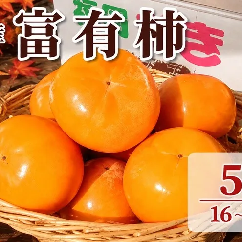 柿 富有柿 朝倉産 5kg 16玉～18玉 朝倉りんご園 果物類 かき