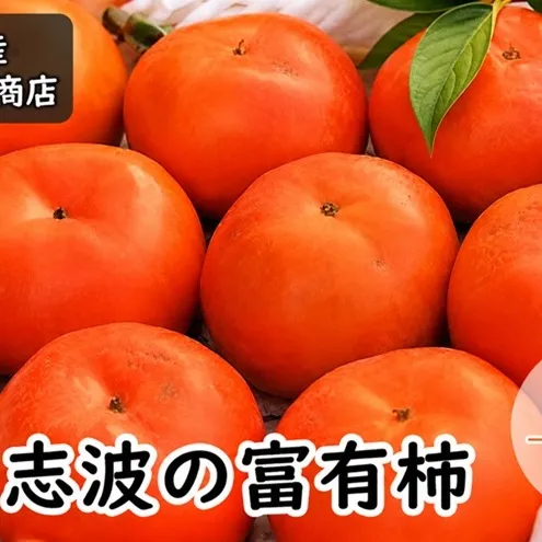 柿 志波の富有柿 L～2Lサイズ×12個入 マルハツ商店 果物類 かき 
