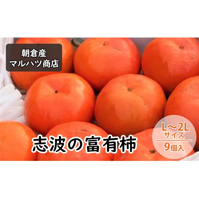 柿 志波の富有柿 L～2Lサイズ×9個入 マルハツ商店 果物類 かき 
