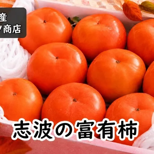 柿 志波の富有柿 L～2Lサイズ×9個入 マルハツ商店 果物類 かき 