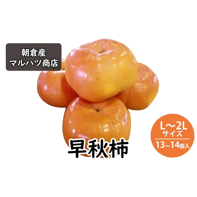 柿 早秋柿 L～2Lサイズ×13～14個入 マルハツ商店 配送不可：離島 果物類 かき 