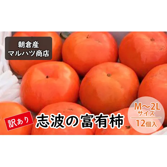 訳あり 柿 志波の富有柿 M～2Lサイズ×12個入 マルハツ商店 果物類 かき 