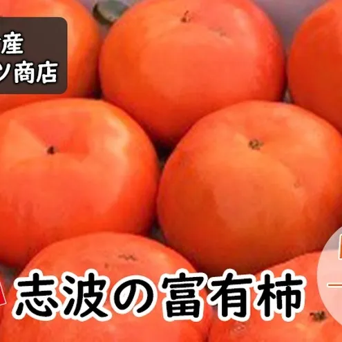 訳あり 柿 志波の富有柿 M～2Lサイズ×11個入 マルハツ商店 果物類 かき 