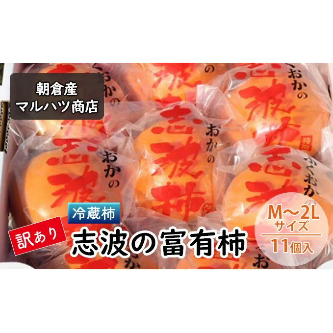 訳あり 柿 冷蔵柿 志波の富有柿 M～2Lサイズ×11個入 マルハツ商店 配送不可：離島 果物類 かき 
