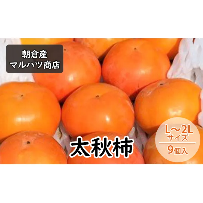 柿 太秋柿 L～2Lサイズ×9個入 マルハツ商店 配送不可：離島 果物類 かき 