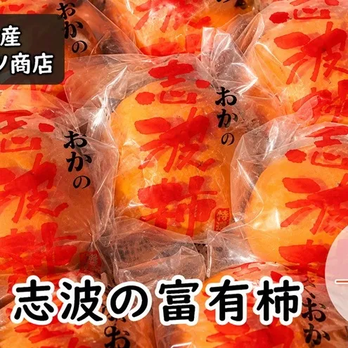柿 冷蔵 志波の富有柿 Mサイズ×14個入 マルハツ商店 配送不可：離島 果物類 かき 
